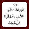 nastexo7916
