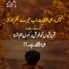 mohammadnazim151