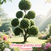 china.plants.flowers