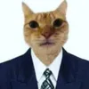 elgatunodoperigo