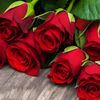 adi_almr