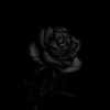shahd2961