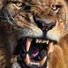 wolf_ksa08