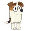 jackrussell577