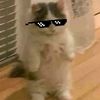 uwulevel