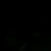 sardenn6