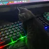 lxrinx