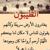 user30500114993517