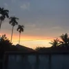 nguyenbui.12345678