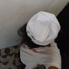 br_2308