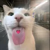 tiktok.commarian27