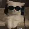 llStylish7