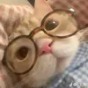ngoc.anh_6.7