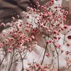 izaa_a8