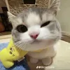 _yissn.vziiw