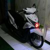 ownerlion_4
