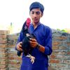 ranaawais_335