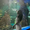 miebaby102
