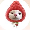 ayechanmyint18