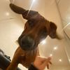 leona_hll10