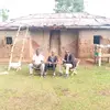 nawaswadavid