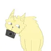 emmytherailwaycat