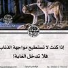 mohamedals42
