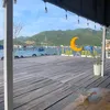 trinhnam9999
