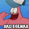 ridhoardiansyah1344