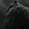 tnng.0
