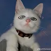 minh.chii8
