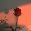 love.mist3