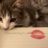 qucute1