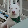 d0nvincent_