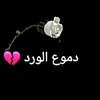 user2070380519759
