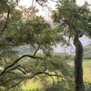 astonmancuso