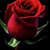 fathima.essop2