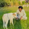 khababcattlefarm
