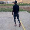 tamiratten