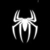 ahmed_spider_7