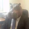 moshonka_givno