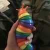 rainbow_slug04