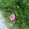 dhfk_0101