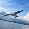 aryuy25