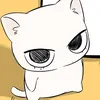 kit_ty08_