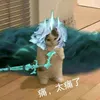 catneowfreerobux