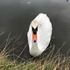 aeoliandream