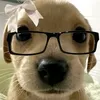 buuu2013176