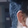 nhocdjrung