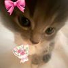 callme_nit3